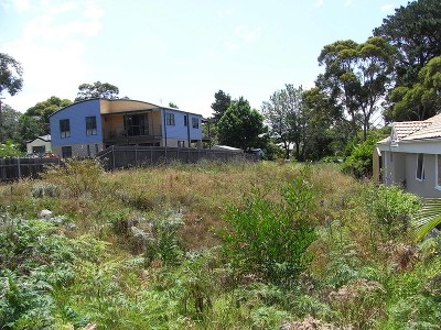 Big Block - Great Spot Picture