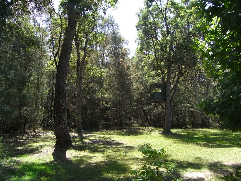 Land; Big, Private and Peaceful Picture 3