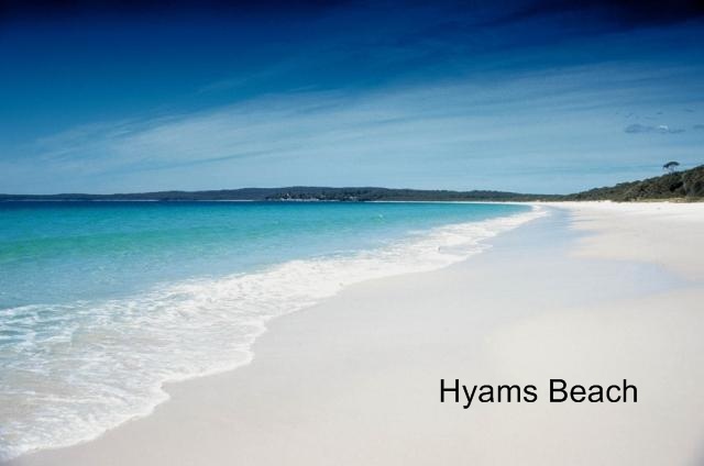 12 on Rose Picture 3