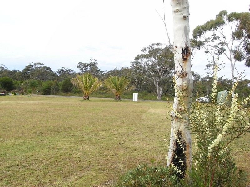 LARGE PRIVATE BUILDING SITE IN EXCLUSIVE BUSHLAND SETTING Picture 1
