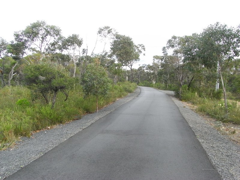 LARGE PRIVATE BUILDING SITE IN EXCLUSIVE BUSHLAND SETTING Picture 2