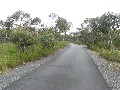 LARGE PRIVATE BUILDING SITE IN EXCLUSIVE BUSHLAND SETTING Picture LARGE PRIVATE BUILDING SITE IN EXCLUSIVE BUSHLAND SETTING Picture