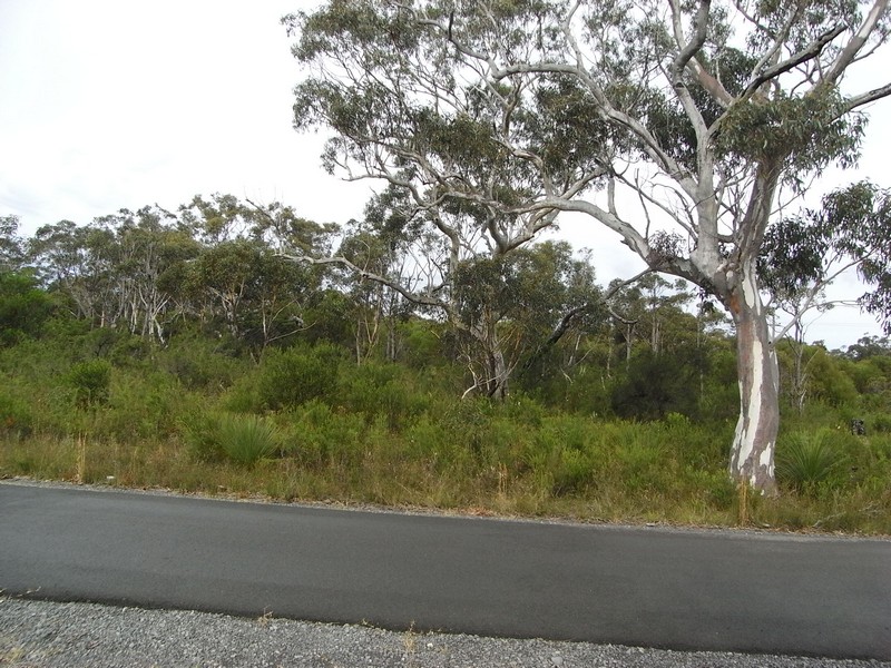 LARGE PRIVATE BUILDING SITE IN EXCLUSIVE BUSHLAND SETTING Picture 3