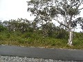 LARGE PRIVATE BUILDING SITE IN EXCLUSIVE BUSHLAND SETTING Picture LARGE PRIVATE BUILDING SITE IN EXCLUSIVE BUSHLAND SETTING Picture