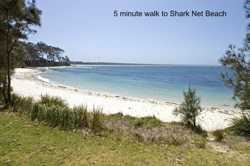 2 of 61 Hawke Picture 2