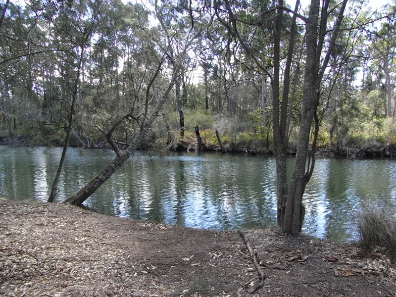 Cosy Cottage on Cockrow Creek Picture 3