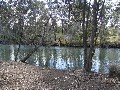 Cosy Cottage on Cockrow Creek Picture