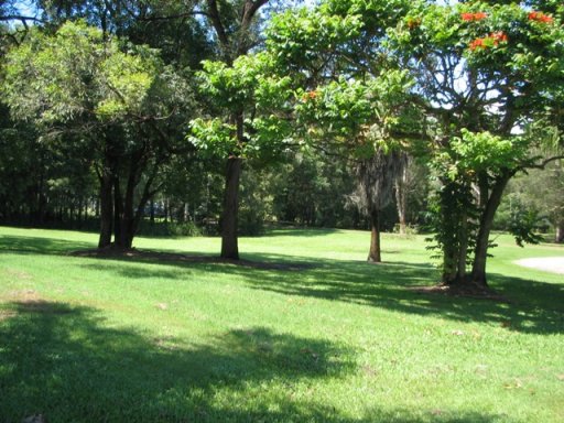 Available Now Picture Available Now Picture