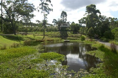 LARGE ONE BEDROOM COTTAGE Picture LARGE ONE BEDROOM COTTAGE Picture