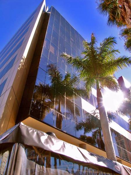 Surfers Paradise - Office Space Picture 1