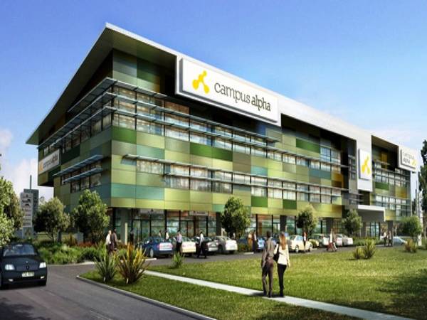 CENTRAL ROBINA OFFICES - FOR LEASE OR SALE Picture 2